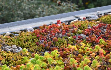 the cost of Singret green roof installation